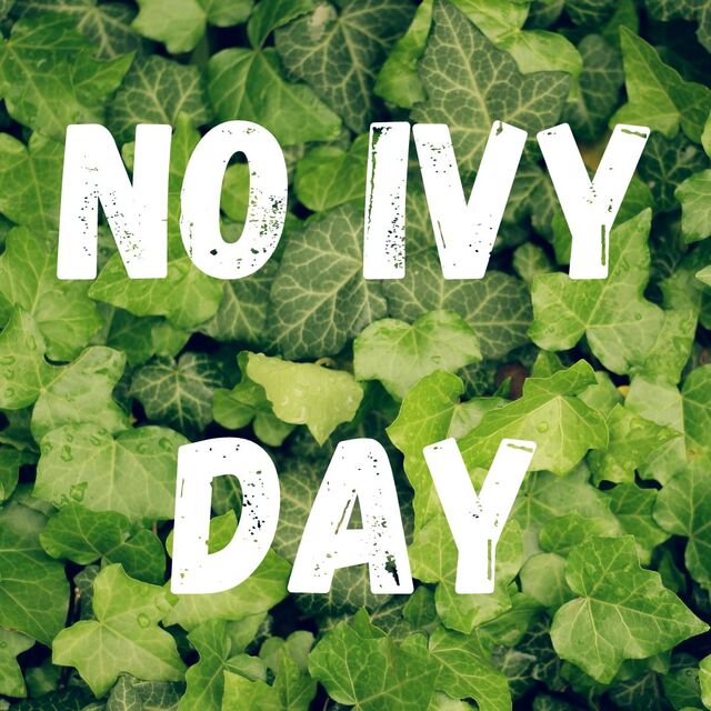 NO IVY DAY.jpg